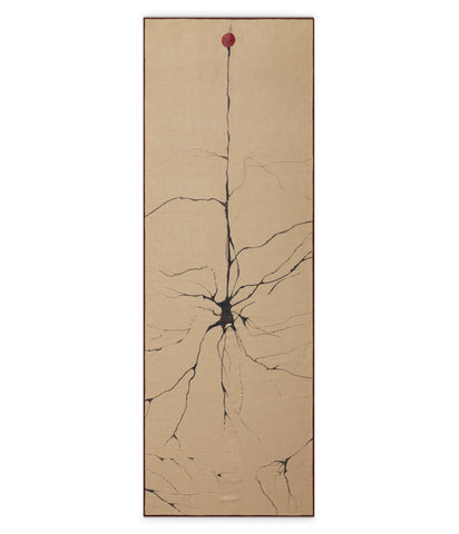 Manduka AligN Yoga Strap 10 Foot - Rose